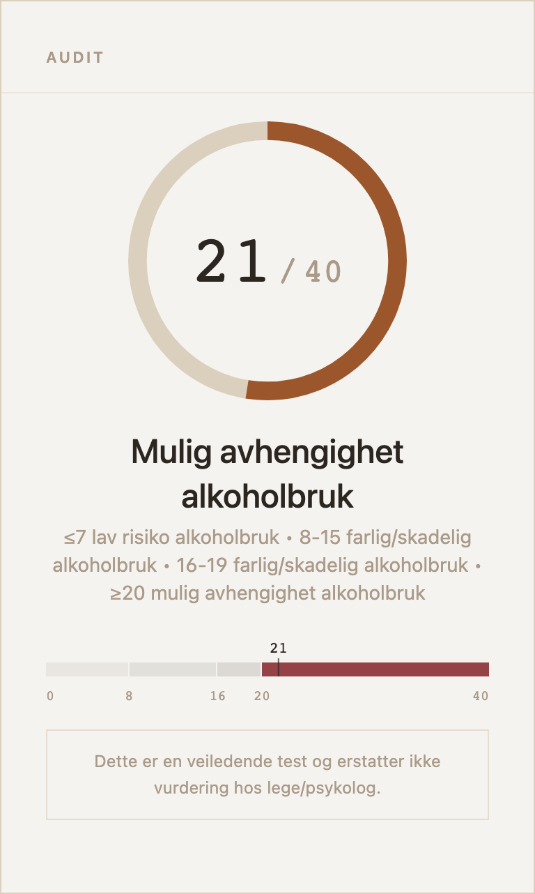 Eksempel på resultatkort for AUDIT